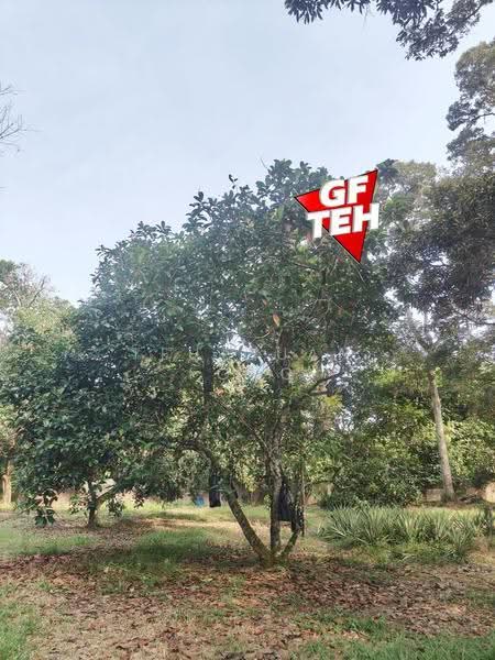 Tanah Pertanian untuk Dijual di Karangan (Kedah) - Teh Guan Fong - Exterior - PropertyGuru.com.my