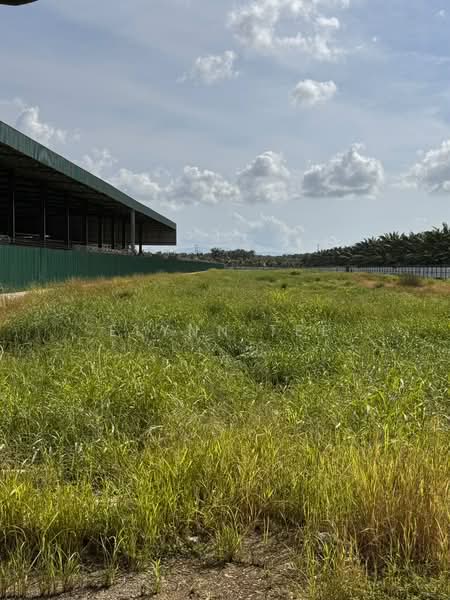 Tanah Pertanian untuk Disewa di Tasek Gelugor (Penang) - Elynn Tee - Exterior - PropertyGuru.com.my