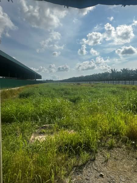 Tanah Pertanian untuk Disewa di Tasek Gelugor (Penang) - Elynn Tee - Exterior - PropertyGuru.com.my