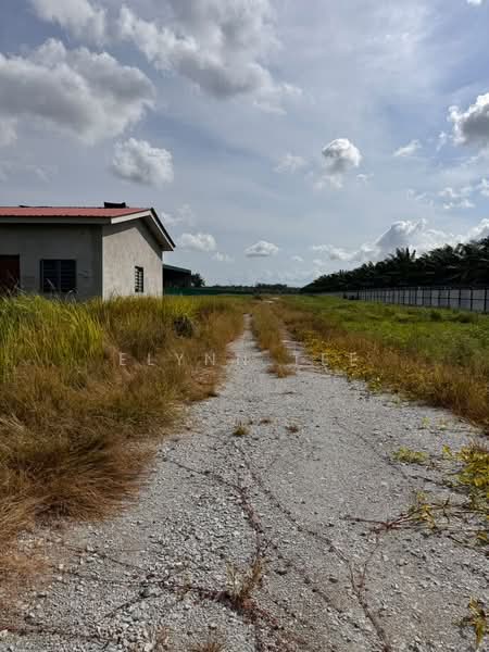 Tanah Pertanian untuk Disewa di Tasek Gelugor (Penang) - Elynn Tee - Exterior - PropertyGuru.com.my