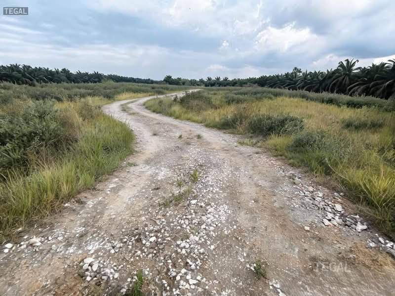 Tanah Pertanian untuk Dijual di Port Klang (Pelabuhan Klang) (Selangor) - Alex Lee - Exterior - PropertyGuru.com.my