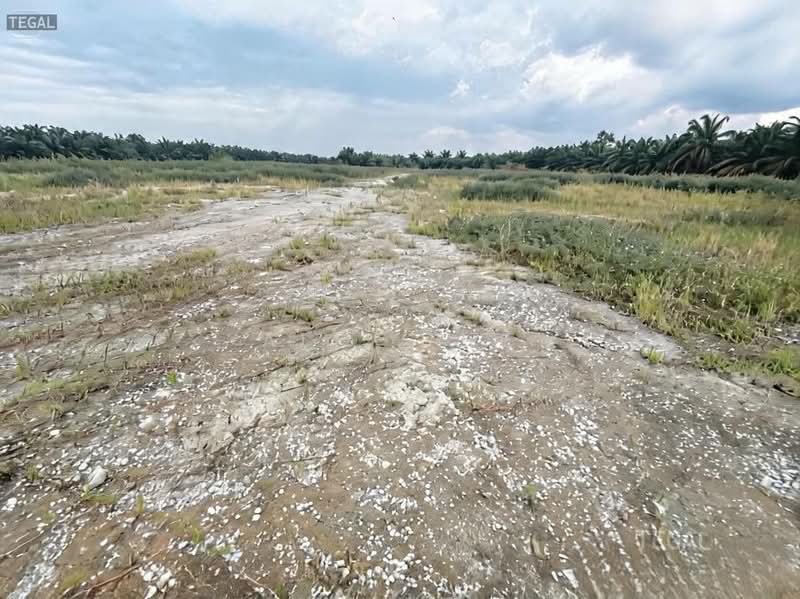 Tanah Pertanian untuk Dijual di Port Klang (Pelabuhan Klang) (Selangor) - Alex Lee - Exterior - PropertyGuru.com.my