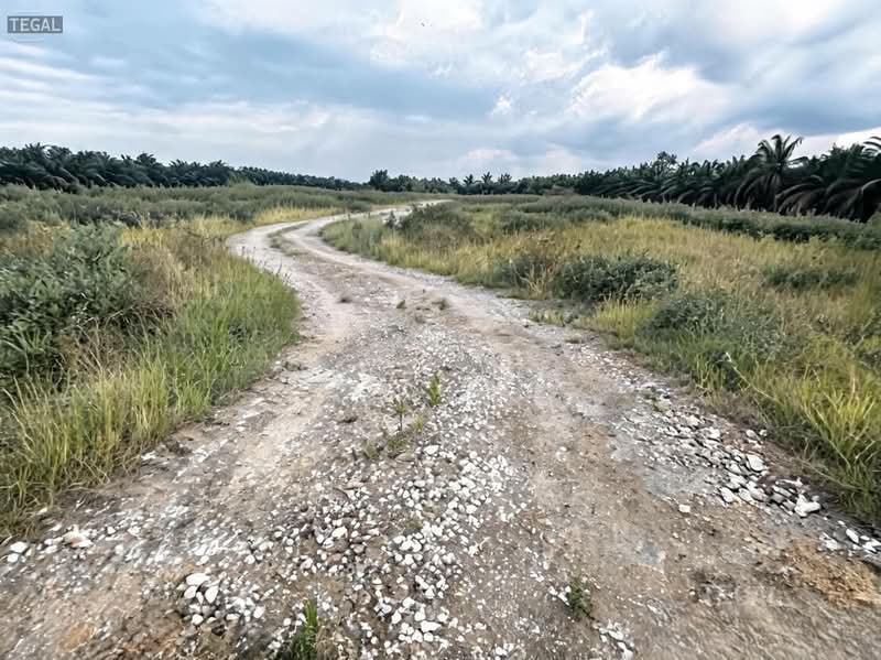 Tanah Pertanian untuk Dijual di Port Klang (Pelabuhan Klang) (Selangor) - Alex Lee - Exterior - PropertyGuru.com.my