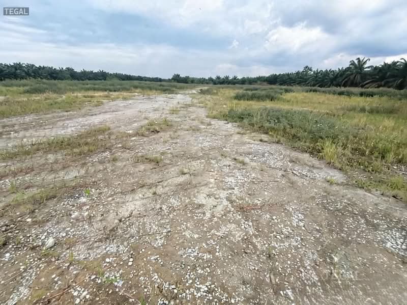 Tanah Pertanian untuk Dijual di Port Klang (Pelabuhan Klang) (Selangor) - Alex Lee - Exterior - PropertyGuru.com.my