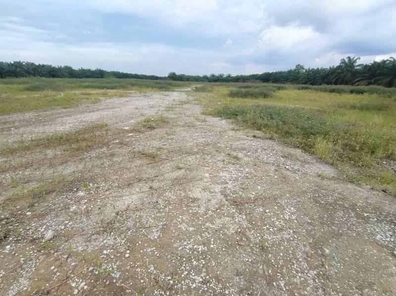 Tanah Pertanian untuk Dijual di Port Klang (Pelabuhan Klang) (Selangor) - Alex Lee - Exterior - PropertyGuru.com.my
