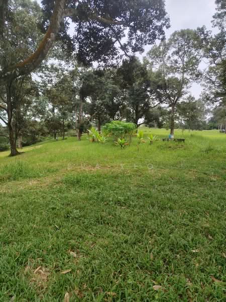Tanah Pertanian untuk Dijual di Johor Bahru (Johor) - Eva Yeo - Garden - PropertyGuru.com.my
