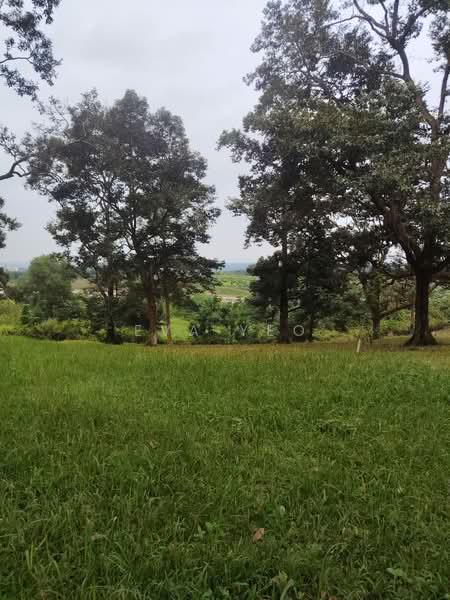Tanah Pertanian untuk Dijual di Johor Bahru (Johor) - Eva Yeo - Garden - PropertyGuru.com.my