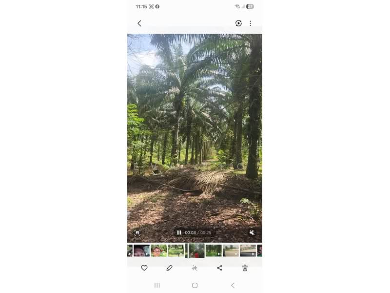Agricultural Land for Sale in Simpang Renggam (Johor) - Eva Yeo - PropertyGuru.com.my