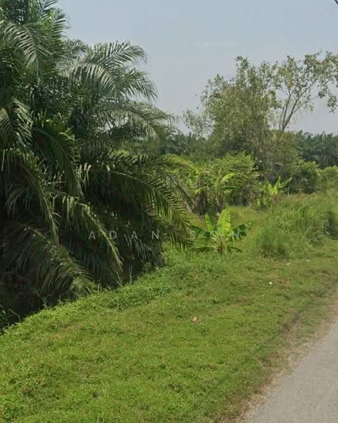 Agricultural Land for Sale in Rawang Perdana (Rawang) - Adan Soh - Exterior - PropertyGuru.com.my