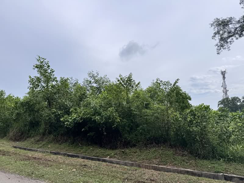 Industrial Land for Sale in Telok Mas (Melaka) - Wesley Tan - Exterior - PropertyGuru.com.my
