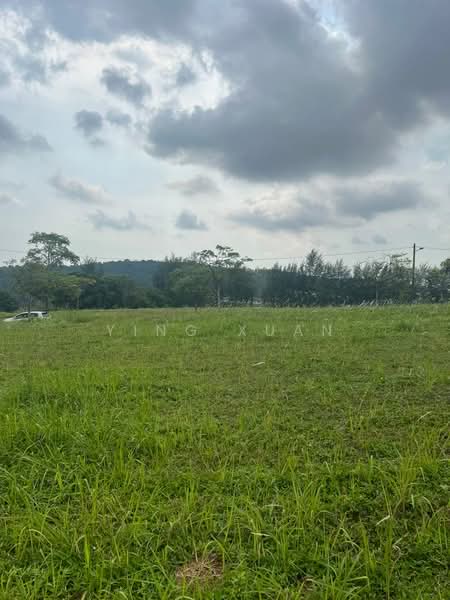 Residential Land for Sale in Leisure Farm (Gelang Patah) - Ying Xuan - Exterior - PropertyGuru.com.my