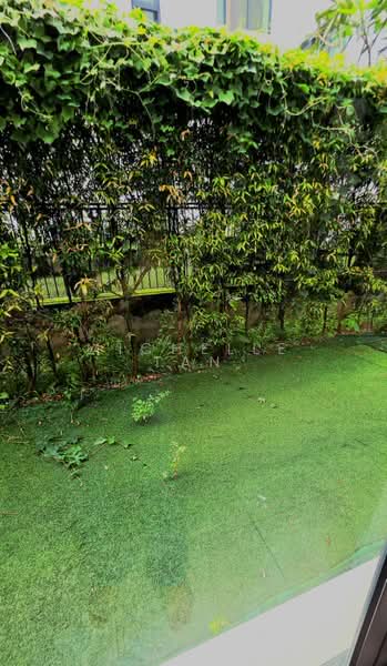 Terraced House for Rent in Desa Parkcity (Kuala Lumpur) - Michelle Tan - Garden - PropertyGuru.com.my