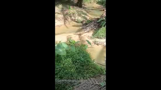 Agricultural Land for Sale in Bidor (Perak) - Lily Chong - PropertyGuru.com.my