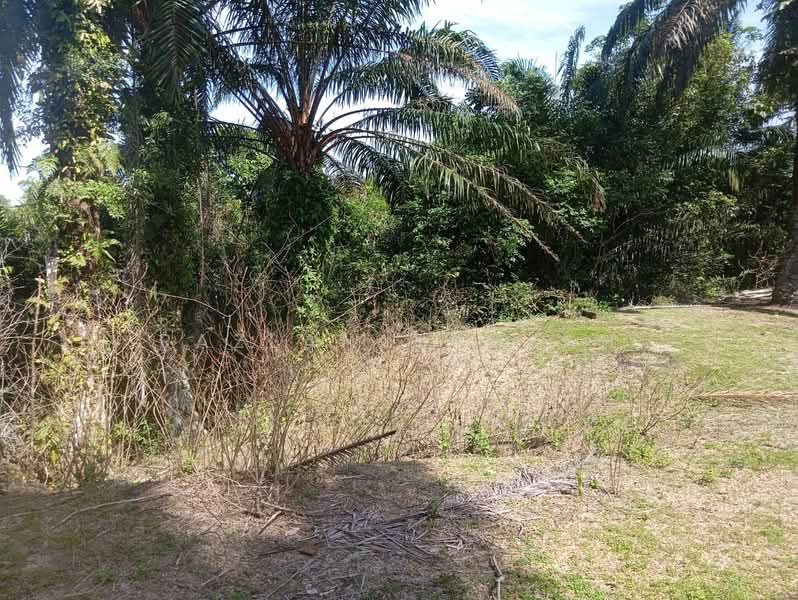 Hartanah Yang Lain untuk Dijual di Kampung Air Hitam Labu (Kampar) - Razlan Hamzah - Exterior - PropertyGuru.com.my