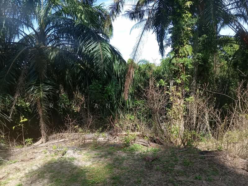 Hartanah Yang Lain untuk Dijual di Kampung Air Hitam Labu (Kampar) - Razlan Hamzah - Exterior - PropertyGuru.com.my