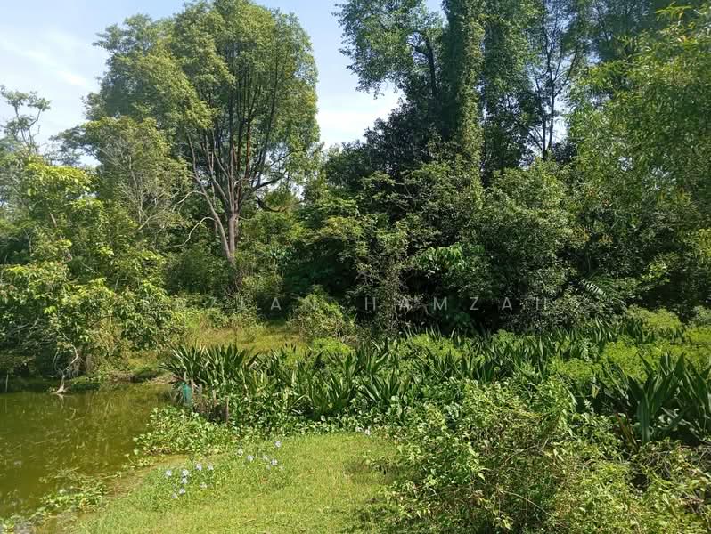 Hartanah Yang Lain untuk Dijual di Kampung Air Hitam Labu (Kampar) - Razlan Hamzah - Exterior - PropertyGuru.com.my