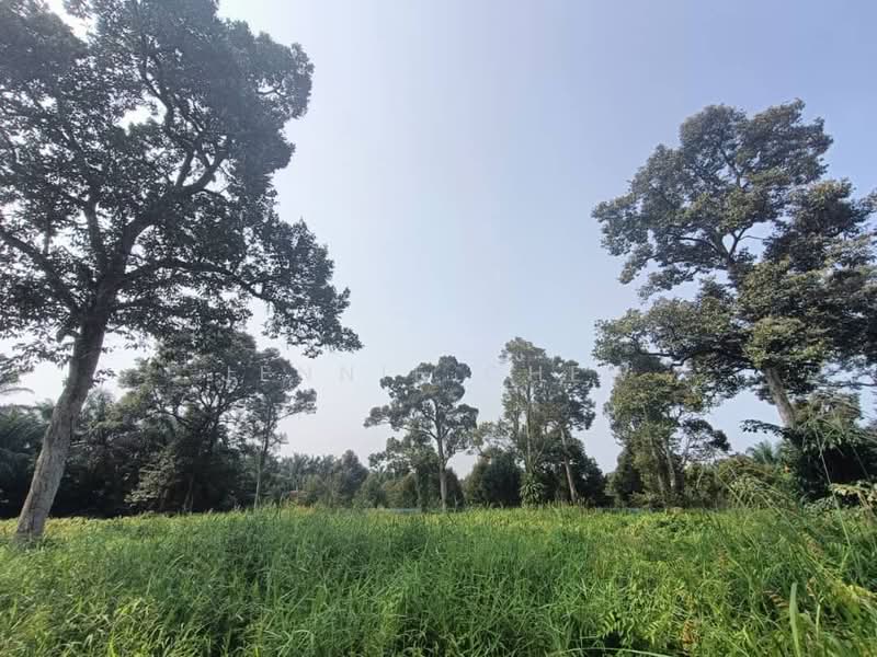 Tanah Pertanian untuk Dijual di Kampung Parit Sikom (Pontian) - Jennie Chew - Garden - PropertyGuru.com.my
