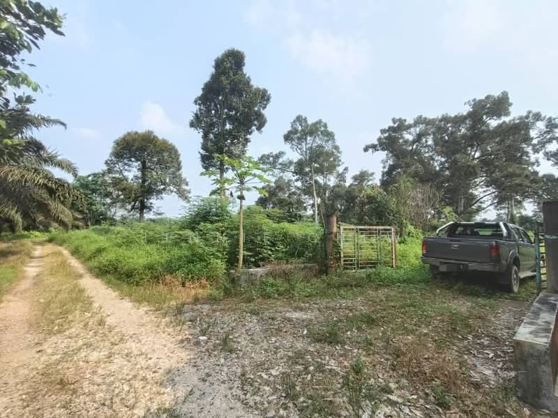 Tanah Pertanian untuk Dijual di Kampung Parit Sikom (Pontian) - Jennie Chew - Exterior - PropertyGuru.com.my