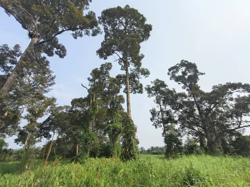 Tanah Pertanian untuk Dijual di Kampung Parit Sikom (Pontian) - Jennie Chew - Exterior - PropertyGuru.com.my