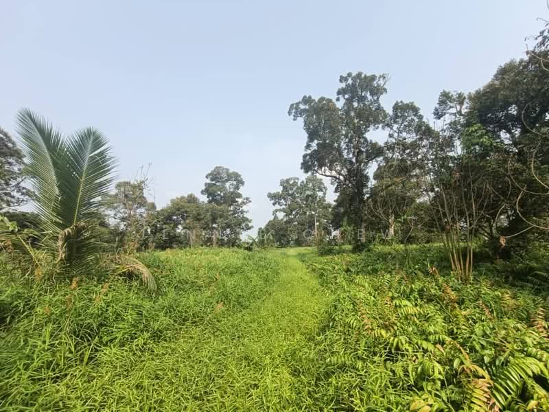 Tanah Pertanian untuk Dijual di Kampung Parit Sikom (Pontian) - Jennie Chew - Garden - PropertyGuru.com.my