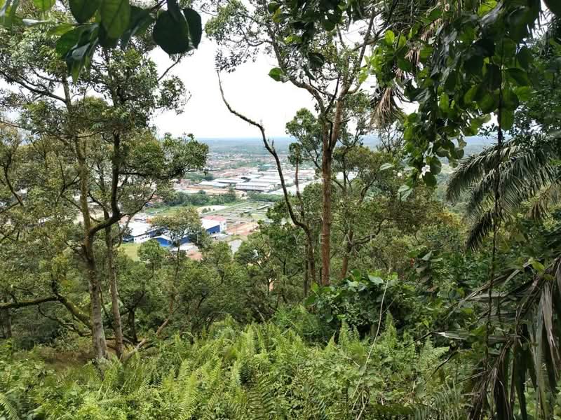 Tanah Pertanian untuk Dijual di Kluang (Johor) - Ming Yeap - Exterior - PropertyGuru.com.my