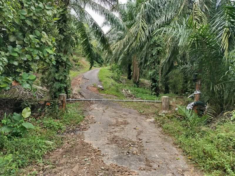 Tanah Pertanian untuk Dijual di Kluang (Johor) - Ming Yeap - Exterior - PropertyGuru.com.my