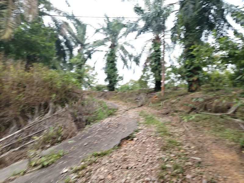 Tanah Pertanian untuk Dijual di Kluang (Johor) - Ming Yeap - Exterior - PropertyGuru.com.my