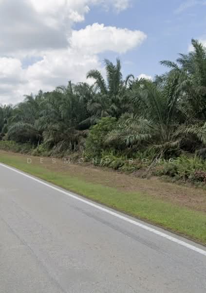 Tanah Pertanian untuk Dijual di Kampung Jeram Batu (Jeram Batu) - Desmond Bong - PropertyGuru.com.my