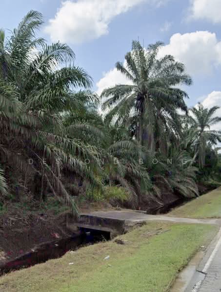 Tanah Pertanian untuk Dijual di Kampung Jeram Batu (Jeram Batu) - Desmond Bong - PropertyGuru.com.my