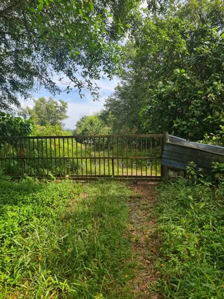 Industrial Land for Sale in Pekan Nenas (Jeram Batu) - Eva Yeo - Exterior - PropertyGuru.com.my
