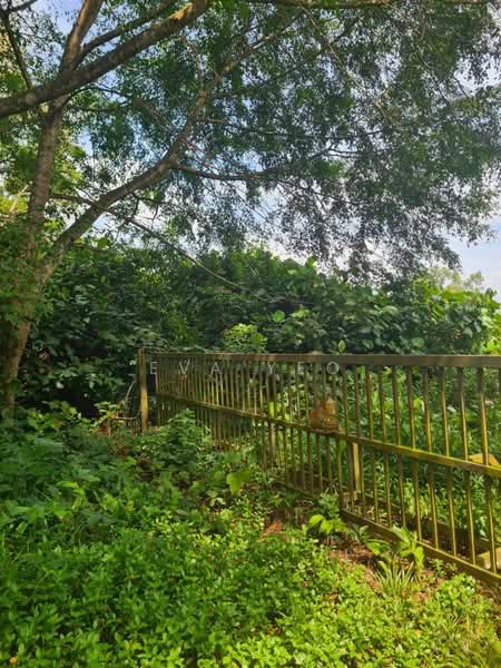 Industrial Land for Sale in Pekan Nenas (Jeram Batu) - Eva Yeo - Exterior - PropertyGuru.com.my