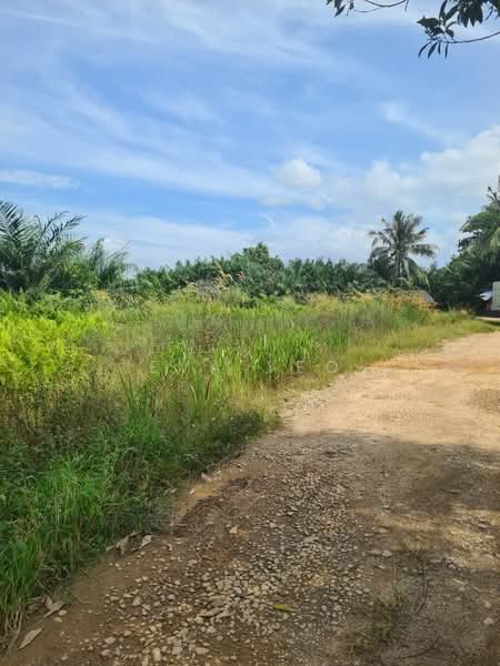Industrial Land for Sale in Pekan Nenas (Jeram Batu) - Eva Yeo - Exterior - PropertyGuru.com.my