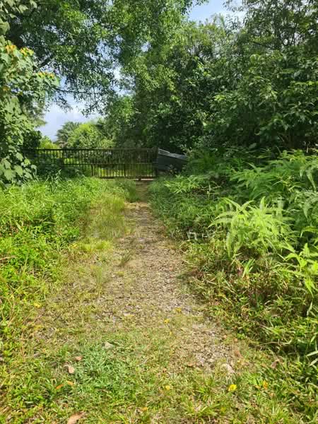 Industrial Land for Sale in Pekan Nenas (Jeram Batu) - Eva Yeo - Exterior - PropertyGuru.com.my