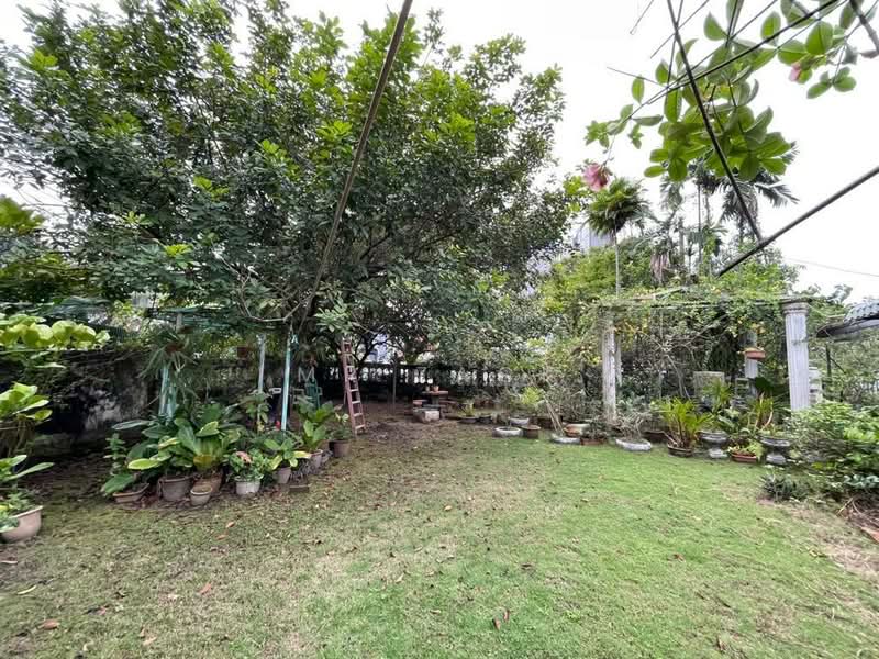 Bungalow for Sale in Sentul (Kuala Lumpur) - Mr Zack - Garden - PropertyGuru.com.my