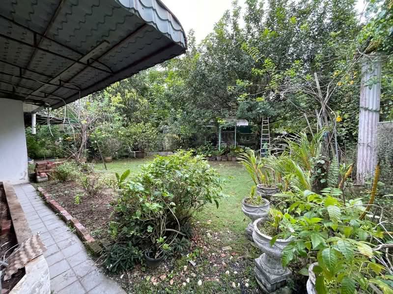 Bungalow for Sale in Sentul (Kuala Lumpur) - Mr Zack - Garden - PropertyGuru.com.my