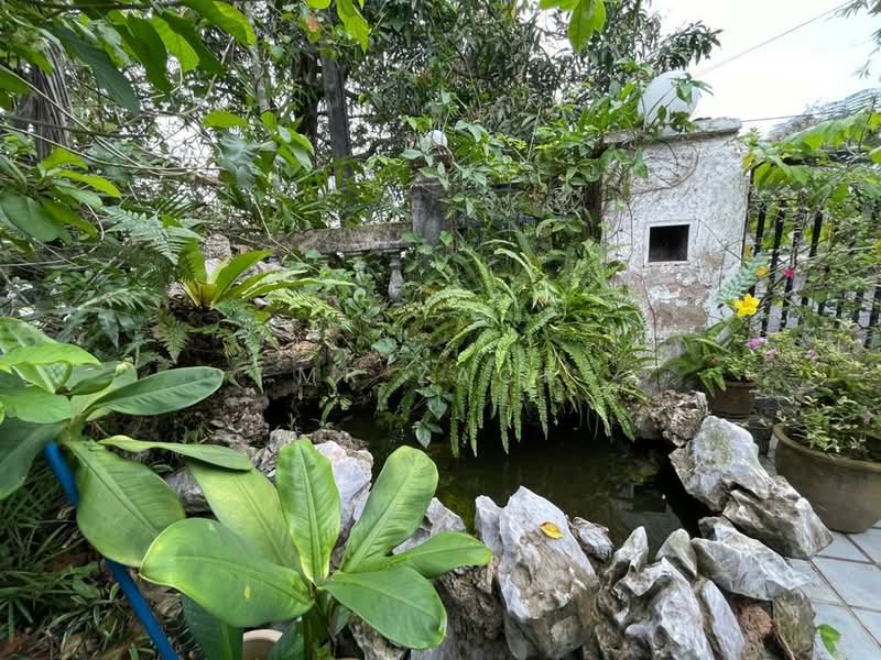 Bungalow for Sale in Sentul (Kuala Lumpur) - Mr Zack - Garden - PropertyGuru.com.my