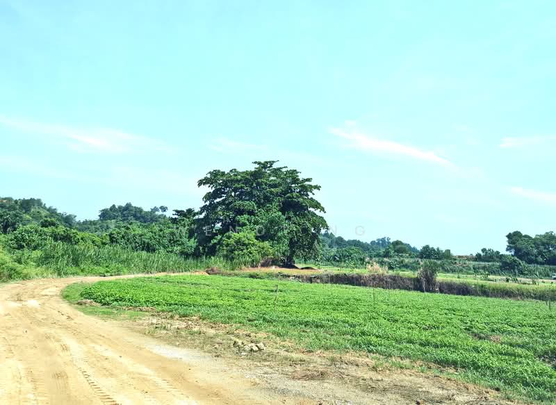 Agricultural Land for Sale in Serendah (Selangor) - Wendy Ng - Exterior - PropertyGuru.com.my