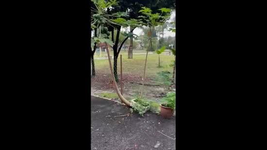 2-storey Terraced House for Sale in Taman Putra Prima (Puchong) - Leon Lim - PropertyGuru.com.my