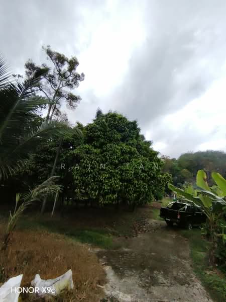 Agricultural Land for Sale in Lenggeng (Negeri Sembilan) - Rain Tan - Garden - PropertyGuru.com.my