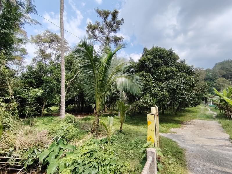 Agricultural Land for Sale in Lenggeng (Negeri Sembilan) - Rain Tan - Exterior - PropertyGuru.com.my