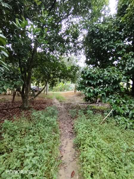 Agricultural Land for Sale in Lenggeng (Negeri Sembilan) - Rain Tan - Exterior - PropertyGuru.com.my