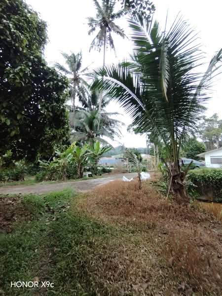 Agricultural Land for Sale in Lenggeng (Negeri Sembilan) - Rain Tan - Exterior - PropertyGuru.com.my