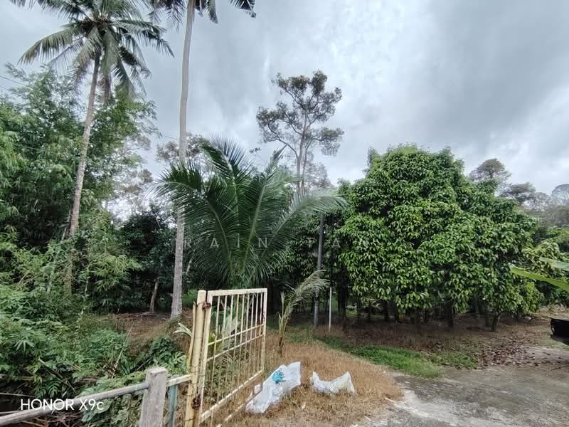 Agricultural Land for Sale in Lenggeng (Negeri Sembilan) - Rain Tan - Exterior - PropertyGuru.com.my