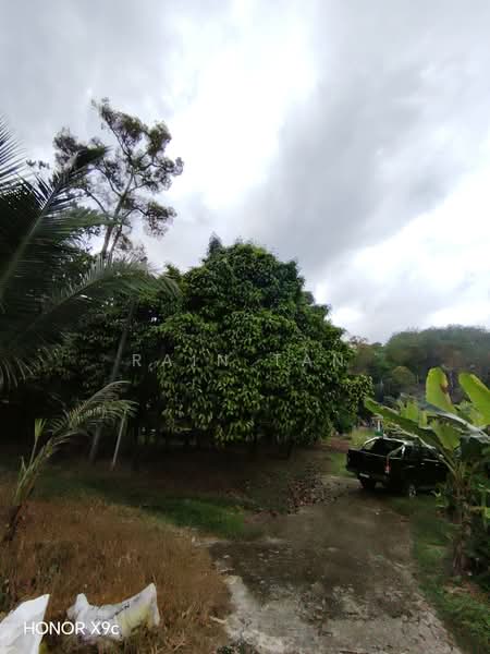 Agricultural Land for Sale in Lenggeng (Negeri Sembilan) - Rain Tan - Exterior - PropertyGuru.com.my