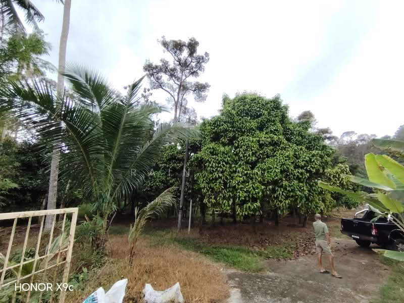Agricultural Land for Sale in Lenggeng (Negeri Sembilan) - Rain Tan - Exterior - PropertyGuru.com.my