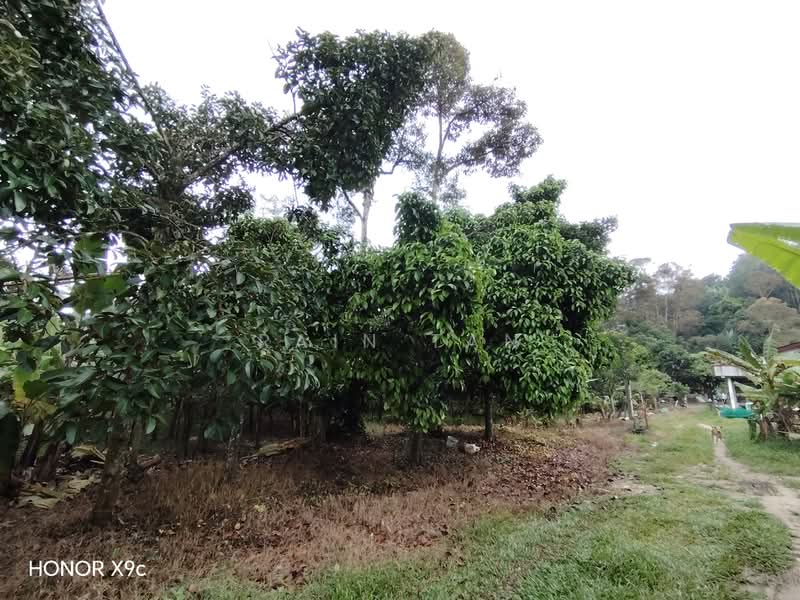 Agricultural Land for Sale in Lenggeng (Negeri Sembilan) - Rain Tan - Exterior - PropertyGuru.com.my