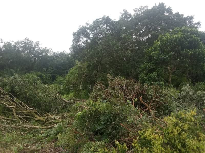 Agricultural Land for Sale in Kampung Tanjung Kupang (Gelang Patah) - Regina Khor - PropertyGuru.com.my