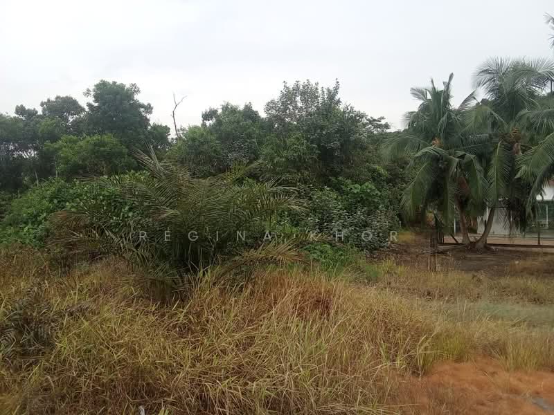 Agricultural Land for Sale in Kampung Tanjung Kupang (Gelang Patah) - Regina Khor - PropertyGuru.com.my