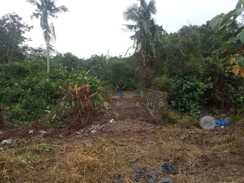 Agricultural Land for Sale in Kampung Tanjung Kupang (Gelang Patah) - Regina Khor - PropertyGuru.com.my
