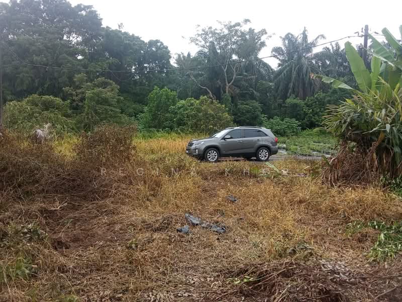 Agricultural Land for Sale in Kampung Tanjung Kupang (Gelang Patah) - Regina Khor - PropertyGuru.com.my
